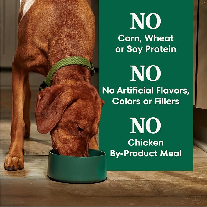 Nutro Natural Choice Large Breed Adult Dry Dog Food, Chicken & Rice, 30 lb | Real chicken #1 ingredient, non-GMO, made in USA, no corn, wheat, soy, supports joints, digestion, immunity, skin & coat