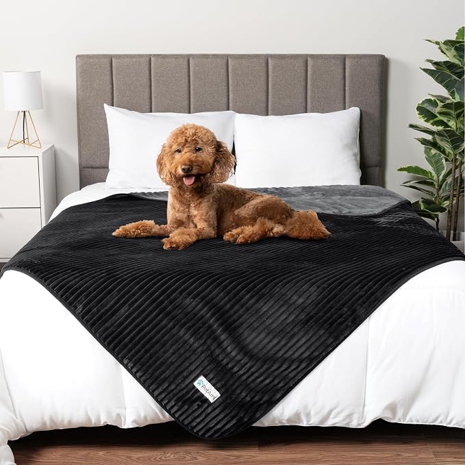 PetAmi Waterproof Dog Blanket, Leakproof Pet Blanket for Small Medium Large Cats, Soft Plush Reversible Sofa Couch Cover Protector, Washable Puppy Throw for Bed Crate, 40x60 in, Black Grey