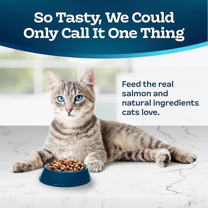 Blue Buffalo Tastefuls Salmon Adult Indoor Dry Cat Food, 3 lb | Chicken & Brown Rice Recipe, Antioxidant-Rich LifeSource Bits, No Corn, Wheat, or Soy