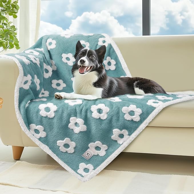 Luciphia Waterproof Dog Blanket for Small Dogs Cats Soft Reversible Fleece | Puppy Pet Blanket, Indoor Cats, Washable Cute Cozy Throw, Bed Cover, Couch Furniture Protector Gift(57" x 40", Blue)
