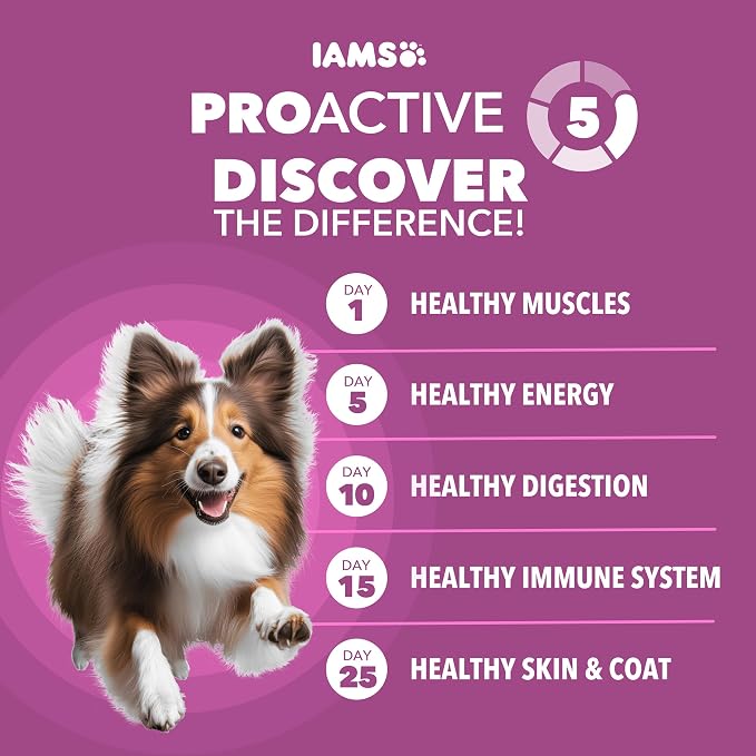 IAMS Proactive Health Mature Large Breed Dry Dog Food, Chicken, 15 lb | Veterinarian-recommended, DHA Gold for mental & visual sharpness, Vitamin E & Beta Carotene, real chicken #1 ingredient