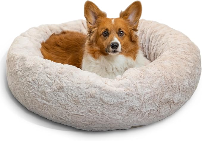 Best Friends by Sheri Original Calming Donut Dog Bed, Oyster, Medium, 30" | Machine-Washable Cover, Lux Faux Fur, Orthopedic Support, Sense of Security, Water-Resistant Base, Medium Dogs Up to 45 lbs