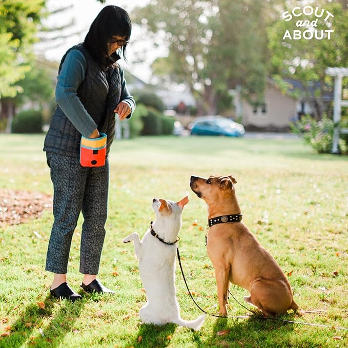 P.L.A.Y. Scout & About Deluxe Training Treat Pouch with Poop Bag Dispenser - 3 Way Wear, Detachable & Adjustable Strap, Reflective Strips, Water-Resistant Back Zipper Pocket, Squeaker (Sunrise)