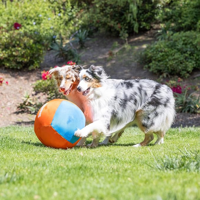 Chuckit! Big Air Fetch Ball Dog Toy, Herding Instincts, 14-in