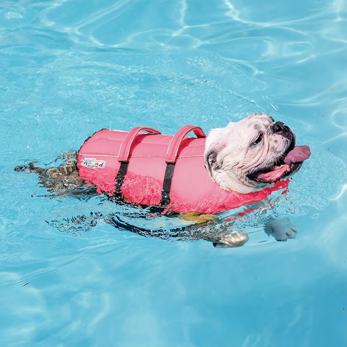 Outward Hound Granby Splash Dog Life Jacket, Life Vest, Pink, Medium | Max Buoyancy, Adjustable Fit, Head/Neck Support, Rescue Handle, Reflective, Swimming & Boating, Medium Dogs (21–27" Girth)
