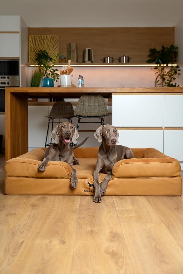 NOAH & PAW Giant Dog Bed XXL, 55x45x11 Inch, Orthopedic Dog Beds, Eggshell Memory Foam Infused with Cooling Gel, Inner Cover, Water Resistant, Machine Washable (Faux Leather)