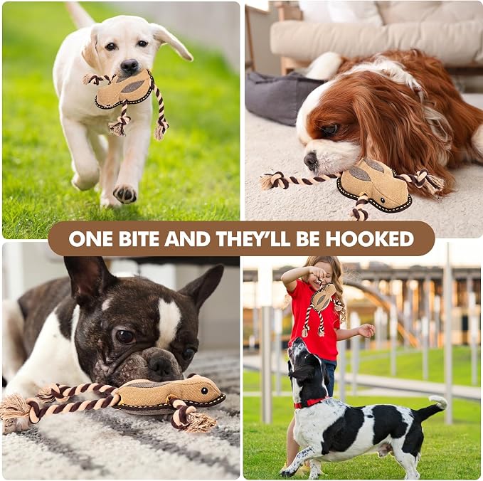 Tough Squeaky Dog Toys for Aggressive chewers Interactive to Keep Them Busy, Durable Funny Cute Tug of war Rope Birthday Dogs Toy for Small Medium Large (Frog)