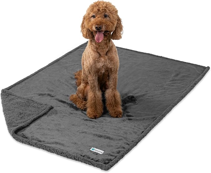 PetAmi Waterproof Dog Blanket for Large Dog Cat Pet, 60x80, Grey Sherpa | 460 GSM Sherpa Fleece Reversible, Pee Proof, Furniture Protector Cover for Couch Sofa Bed Kennel, Washable, Extra Large