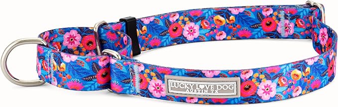 Lucky Love Dog Martingale Collar for Large Dogs No Slip Cute – Zuzu, Large