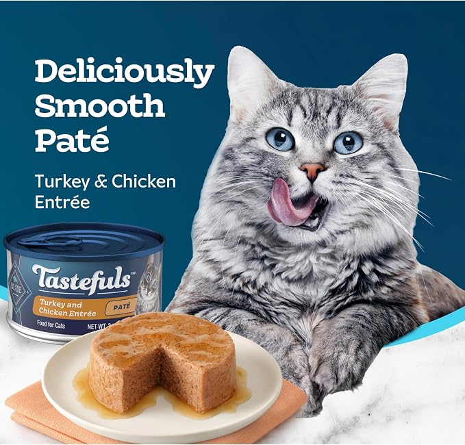 Blue Buffalo Tastefuls Turkey & Chicken Paté Wet Cat Food, 3 oz, 24 ct | Real Turkey First, Paté Style, No Chicken By-Product, Corn, Wheat, or Soy