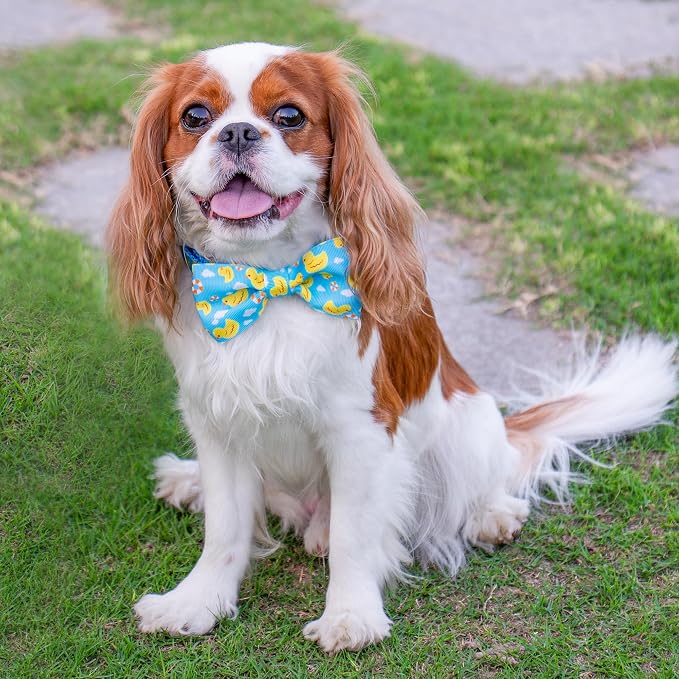 azuza Dog Collar with Bow Tie, Soft and Comfortable Adjustable Bowtie Dog Collar for Large Dogs (L, Yellow Duck)