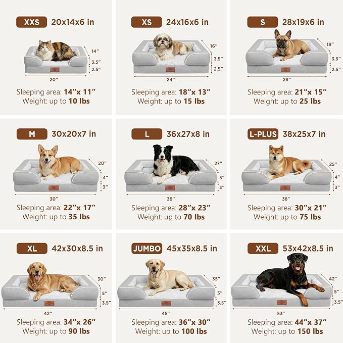 Comfort Expression Waterproof Orthopedic Dog Bed for Extra Large Dogs | Supportive Egg Crate Foam XL Pet Bed with Removable Bolster, Dog Couch with Washable Cover & Non-Slip Bottom, 42x30 Inch