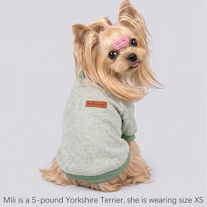 2 Pack Dog Sweaters for Small Dogs Girl Boy Winter Fleece Clothes Warm Soft Dog Sweatshirt Outfit for Dogs Cats Pet Apparel (Light Blue+Matcha Green, L (Back: 15.7", Chest: 19.6", 14-18 lbs))