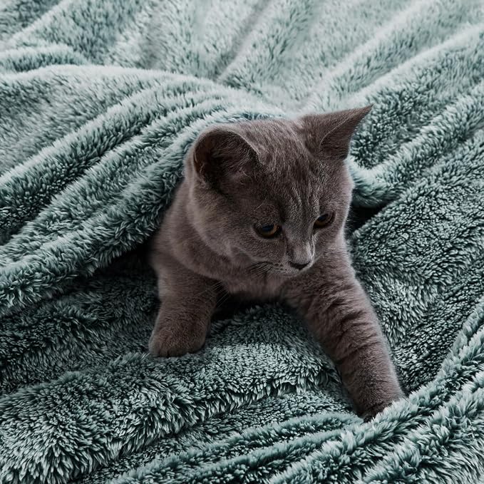Exclusivo Mezcla Fuzzy Large Fleece Throw Blanket for Couch, Mixed Green | 50x70 Inches, Super Soft and Cozy Throw, Plush Fluffy Blanket for Sofa, Bed, Bedroom, Home Decor, All Season