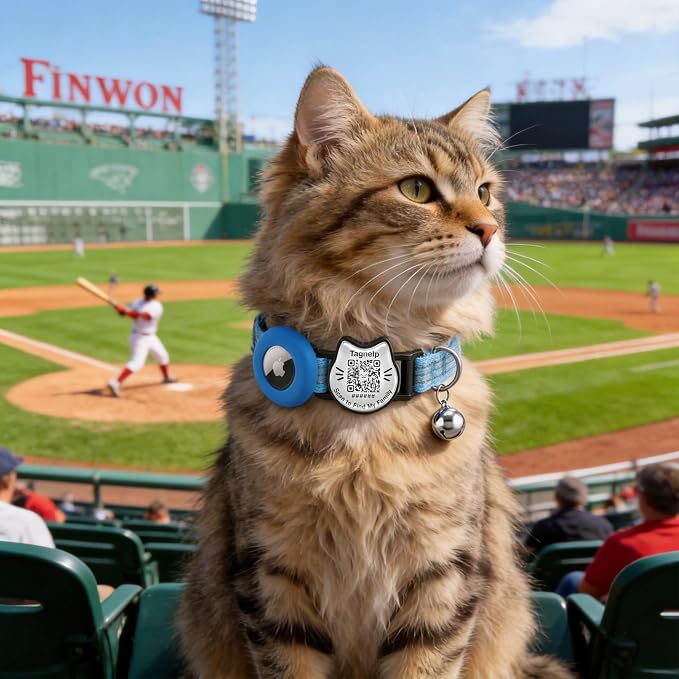 Cat Collar with AirTag Holder, QR Code Tag and Bell (Blue)