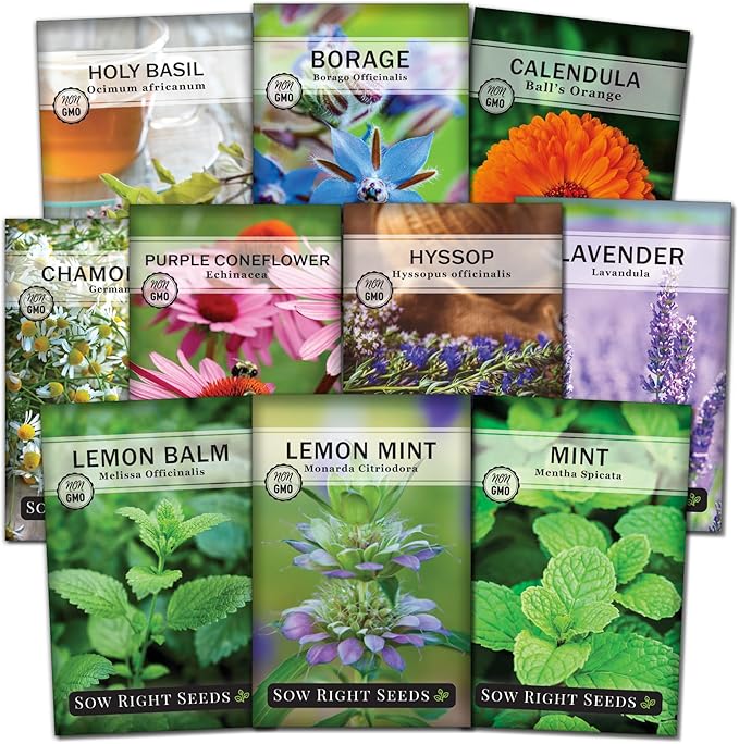 Sow Right Seeds - Large Herbal Tea Garden Seed Collection for Planting - Lemon Balm, Mint, Chamomile, Lavender, Echinacea, Borage, Hyssop, Calendula, and Holy Basil Tulsi - Non-GMO Heirloom to Grow
