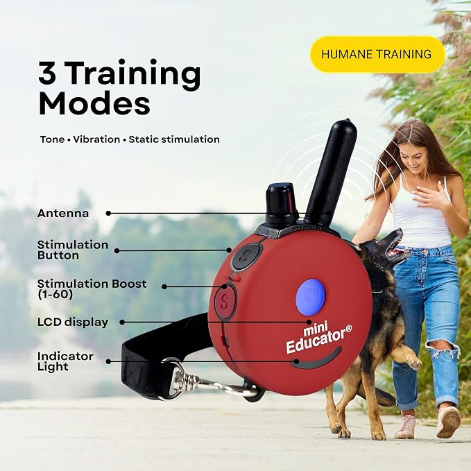 E-Collar ET-300 / ET-302 Dog Training Collar System with Remote - 1/2 Mile Range - Waterproof, Vibration, Sensation - Includes eOutletDeals Pet Towel (1 Dog System - ET-300 RED)