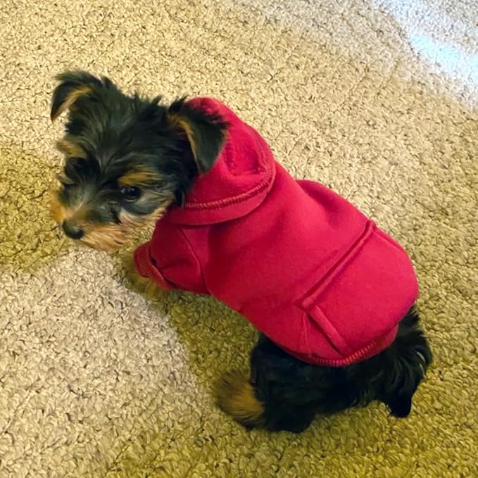 Soft Dog Hoodies for Small Dogs, Warm Fleece Puppy Clothes with Pocket | Jecikelon cold weather coat, cute puppy costume, breathable sweatshirt for dogs girl & boy, machine washable, easy on & off