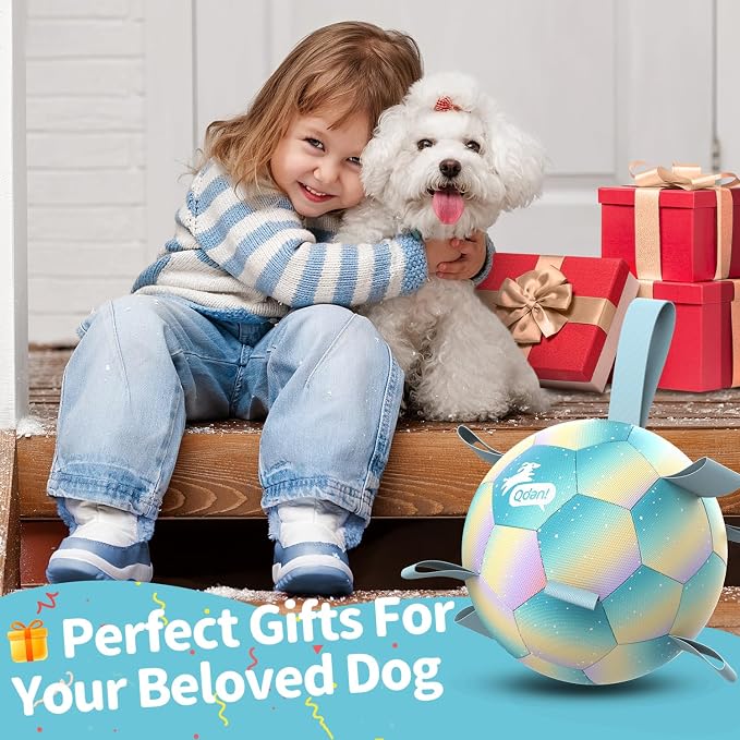 QDAN Herding Ball for Dogs, Soccer Interactive Toys for Large Dogs, 8 Inch