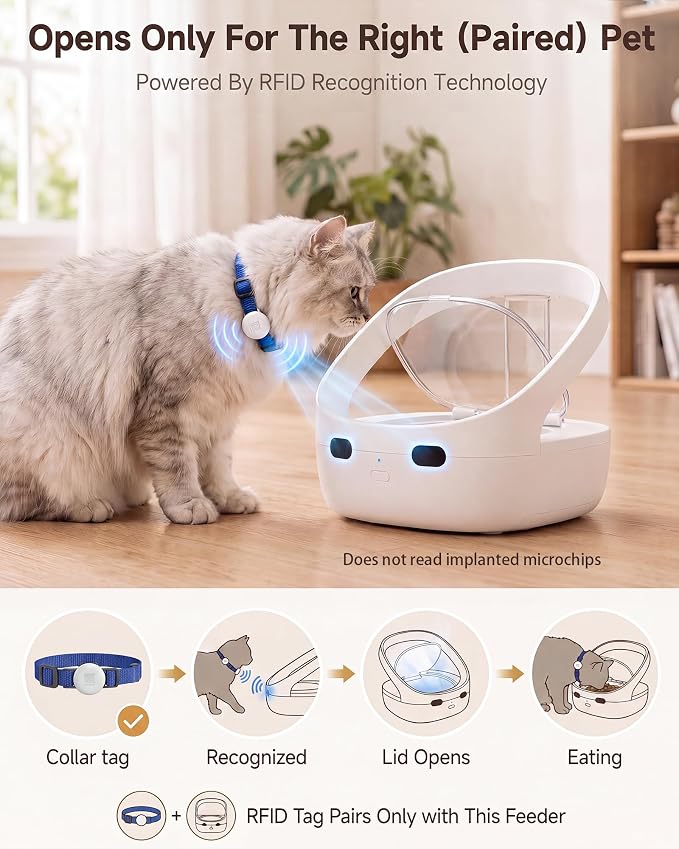 RFID Collar Cat Feeder for Multi-Cat Homes, Helps Reduce Stealing