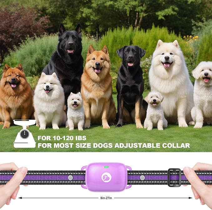 Shock Collar for Dogs 2600FT,Dog Training Collar with Remote Purple