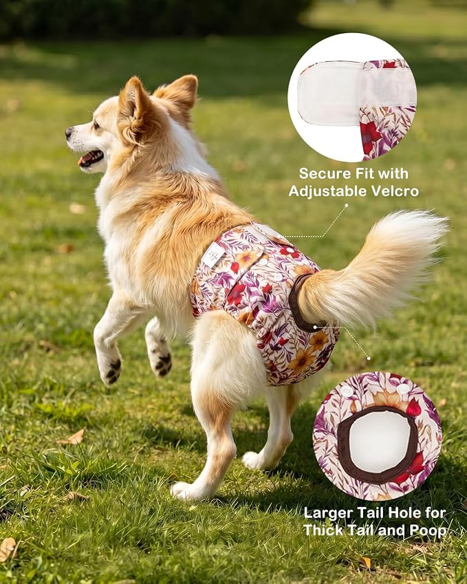 CuteBone Dog Diapers Female Washable Small Medium Large 3 Pack Reusable Doggie Diapers Puppy Period Pants for Doggy Heat Cycle Peeing