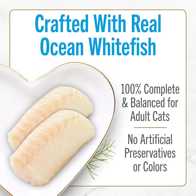 Fancy Feast Purina Petites Ocean Whitefish Entree with Tomato in Gravy Gourmet Wet Cat Food - 2.8 oz. Tubs (Pack of 24)