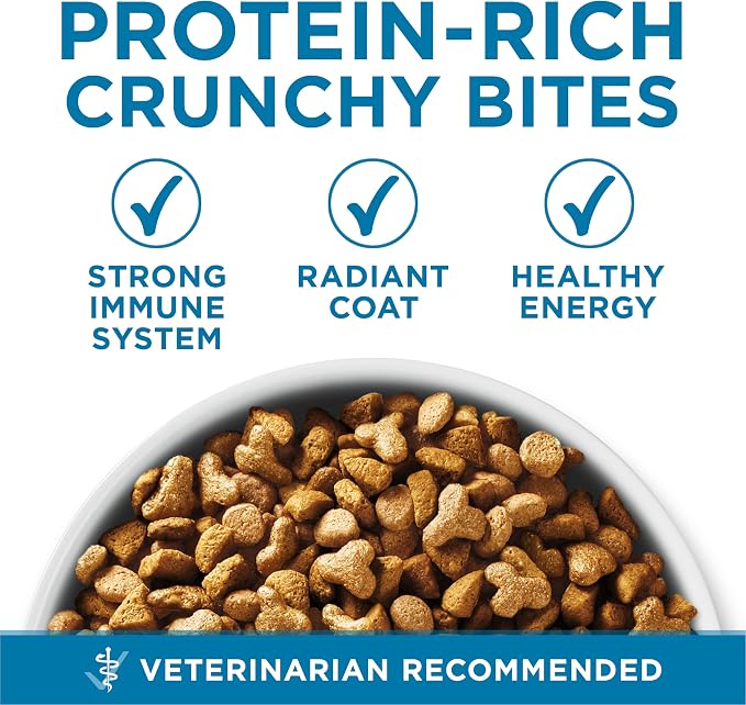 Purina ONE Indoor Advantage Senior Dry Cat Food, High Protein, 7 lb Bag | Made with real chicken and a natural fiber blend that helps minimize hairballs and supports immune health for senior cats