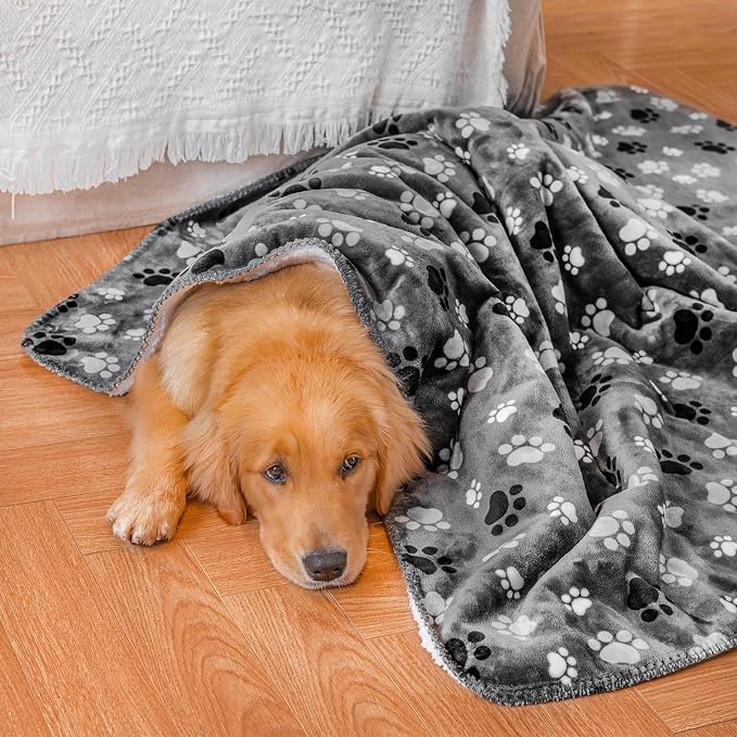 Waterproof Pet Blanket for Dogs and Cats, Soft Sherpa Fleece Throw Blanket 25 * 30inch Grey Paw