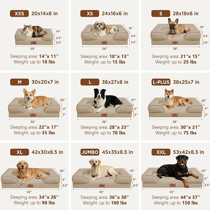 Comfort Expression Waterproof Orthopedic Dog Beds for Large Sized Dog | Supportive Egg Crate Foam Large Pet Bed with Removable Bolster, Dog Couch with Washable Cover & Non-Slip Bottom, 35x22 Inch