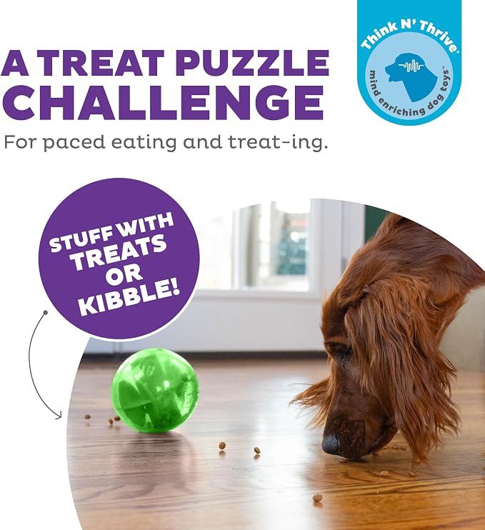 Outward Hound Orbee-Tuff Mazee Interactive Dog Puzzle Toy, Treat Dispensing Slow Feeder Ball, Green, 4.7-Inch