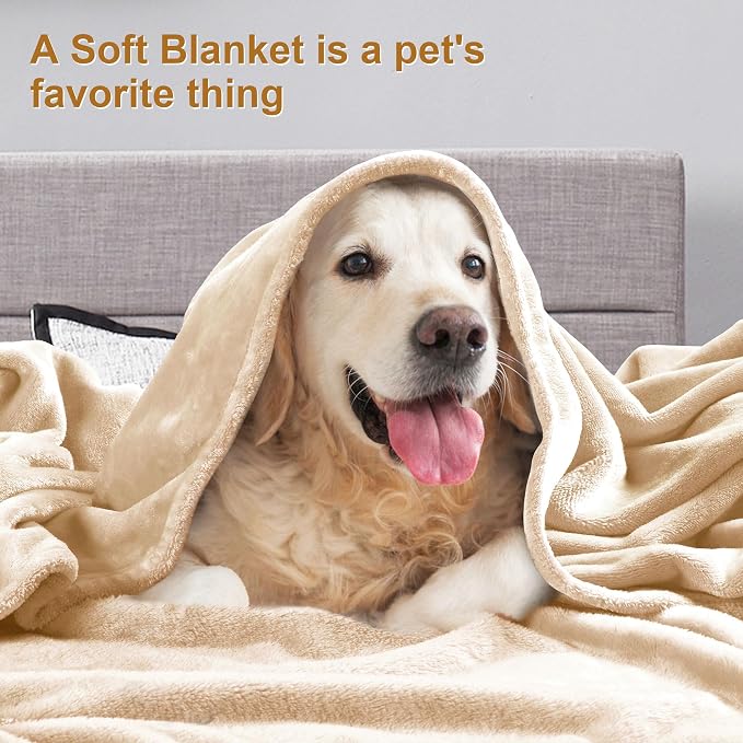 DREAMNINE Super Soft Fuzzy Fleece Throw Blanket for Couch Sofa 50" x 60", Decorative Solid Lightweight Velvet Blanket for Chair, Cozy Accent Shaggy Micro Plush Flannel Blankets for Bedroom Dorm, Beige