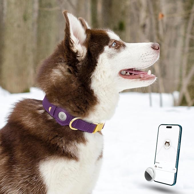 Leather Airtag Dog Collar - Soft Tracking Dog Collar with Apple AirTag Holder and Metal Buckle - Safety GPS Pet Collars for Small Medium Large Dogs Puppy Pink Red (Purple, L, 17"-21" Neck Fit)