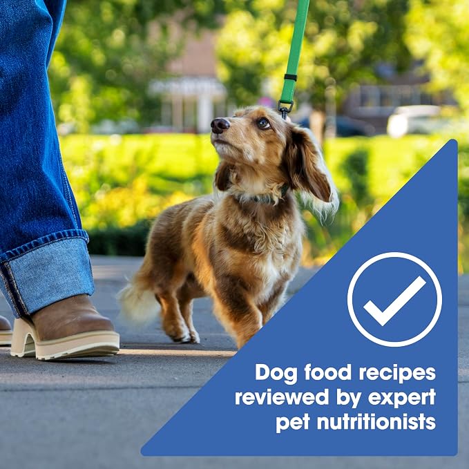 Nature's Recipe Grain Free Small Breed Dry Dog Food, Chicken, Sweet Potato & Pumpkin Recipe, 4 lb. Bag | Chicken, Sweet Potato & Pumpkin Recipe for Small Adult Dogs, Made with No Poultry By-Product Meal or Artificial Preservatives