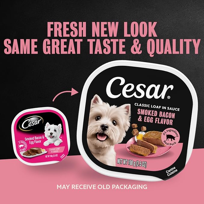 Cesar Classic Loaf in Sauce Wet Dog Food, Bacon & Egg, 3.5 oz, 24 Count | Real pork #1 ingredient, easy peel trays, Made in USA, slow-cooked for tender texture, no fillers or artificial flavors