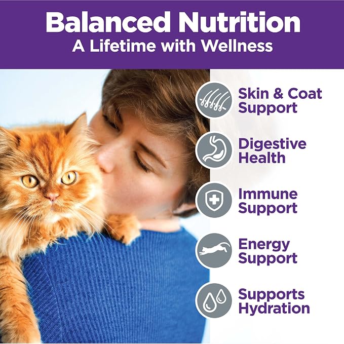 Wellness Complete Health Pate Variety Pack Adult Canned Wet Cat Food, Natural, Protein Rich, Grain Free, Chicken and Turkey Favorites, 5.5 oz, Pack of 12 Cans