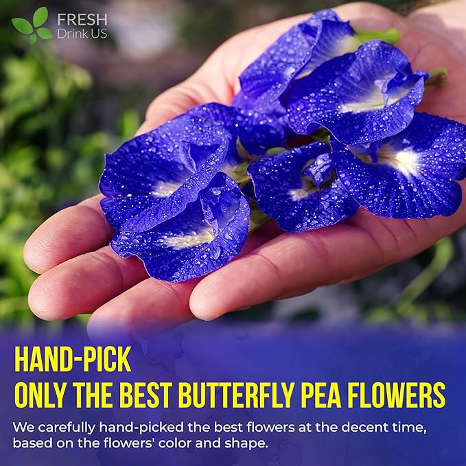 FreshDrinkUS, Premium 55 Blue Butterfly Pea Flowers Tea Bags, 100% Natural and Pure from Butterfly Pea Flowers, Made With Natural Material Tea Bag, No Sugar, No Caffeine, No Gluten, Vegan