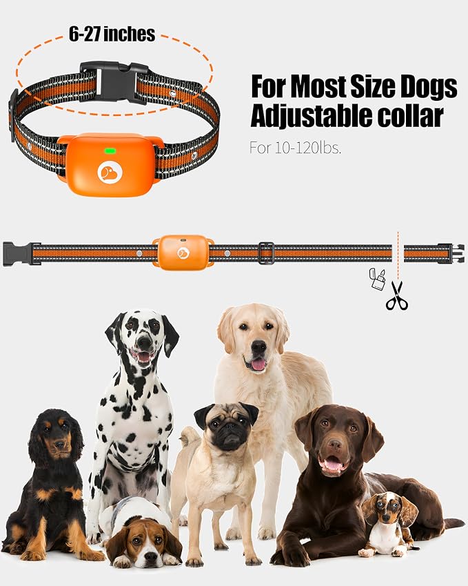 Dog Shock Collar with Remote,Dog Training Collar for 10-120lbs Dogs