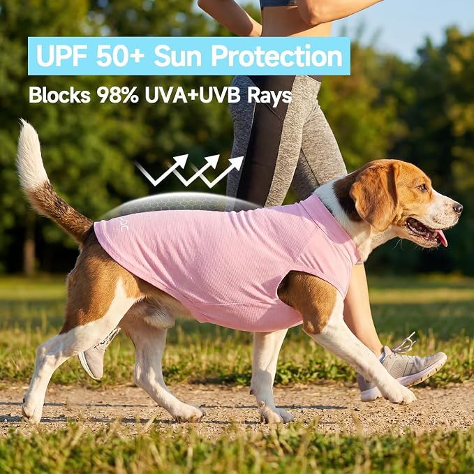 XPUDAC 2 Pack Sun Protection Dog Shirts, Quick Dry Breathable Dog T-Shirt Stretchy Lightweight Sleeveless Pet Summer Clothes for Small Dogs Sensitive Skin Soft Pet Tank Top Vest Girl,M