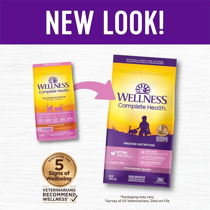 Wellness Complete Health Kitten Dry Cat Food, Natural, Wholesome Grains Kibble, Turkey, Turkey Meal and Chicken Recipe, 5 lb Bag