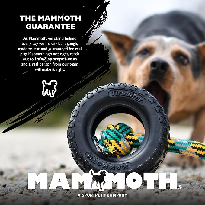 Chew King by Mammoth Premium Treat Dispensing Dog Toy, Durable Natural Rubber Chew Toy, Safety Air Vent, Interactive Enrichment Toy for Aggressive Chewers, XL - For Dogs 40-75lbs - Pack of 2 - Teal