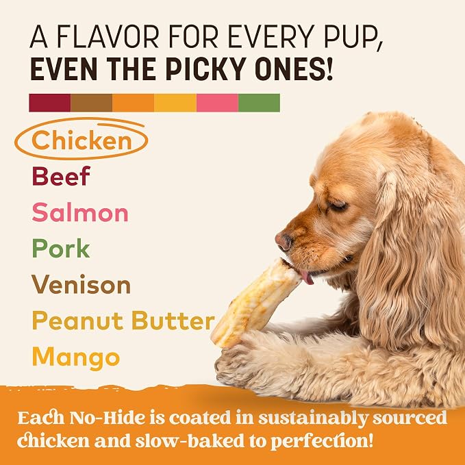 Earth Animal No Hide Dog Chews - Rawhide Free Small Rolls 2 Count Chicken | Small Rolls Chicken Flavored Natural Rawhide Free Long Lasting Dog Chews - Pet Treats for Small Dogs