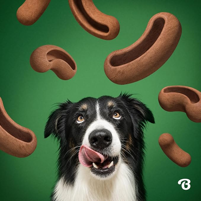 Benebone Treat Pod Refills for Benebone Puzzle Toys, Bacon Flavor Dog Treats, 9 Count