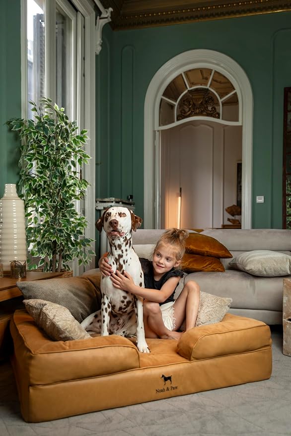 NOAH & PAW XL Dog Bed, 45x35x11 Inch, Orthopedic Large Dog Beds, Eggshell Memory Foam Infused with Cooling Gel, Inner Cover, Water Resistant, Machine Washable (Faux Leather)