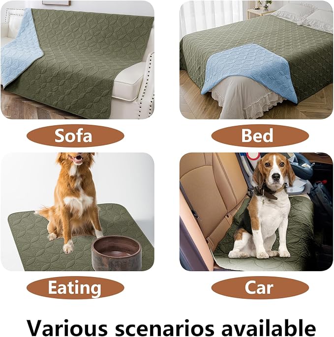 Waterproof Couch Cover for Dogs - Washable Pets Furniture Protector | TPU Leak-Proof Liner, Lightweight & Reversible, Fits Chair, Sofa, Bed, 52" x 82" , Lightblue/Green