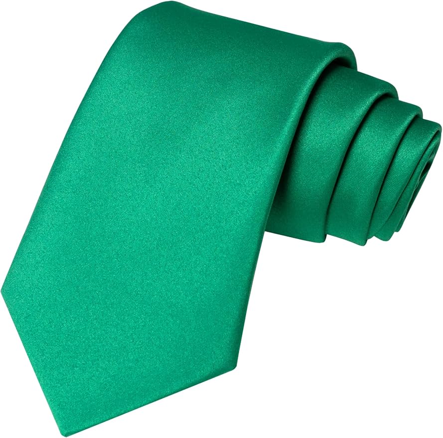 JEMYGINS Solid Color Tie Mens Necktie for Business and Wedding