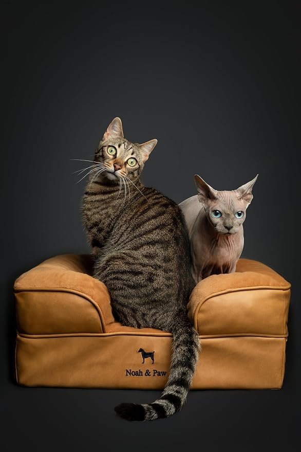 NOAH & PAW Small Dog Bed, 20x15x8 Inch, Cat Bed for Indoor Cats, Orthopedic Eggshell Memory Foam Infused with Cooling Gel, Water Resistant Inner Cover Machine Washable (Faux Leather)