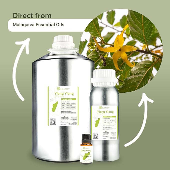 Ylang Ylang Essential Oil - Direct from Malagassi Essential Oils Madagascar - Steam Distilled - Aceite de Ylang Ylang for Aromatherapy, Diffuser, DIY Candle and Soap Making - 15ml