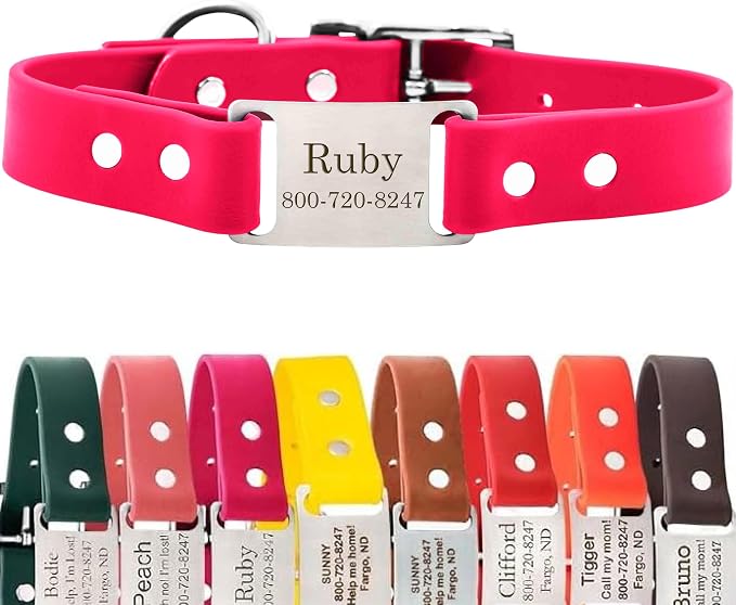 dogIDs Personalized Dog Collar – ScruffTag Custom Waterproof Biothane Dog Collar with Laser-Engraved Name, Durable & Odor-Resistant – USA Made | Magenta, 1 in x 22 in (Fits Neck Sizes 20-24 in)
