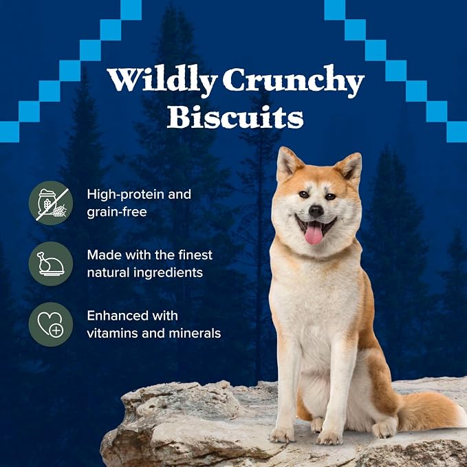 Blue Buffalo Wilderness Trail Treats Duck Crunchy Dog Biscuits, 10 oz | Real Duck #1 Ingredient, High Protein & Grain-Free Dog Snacks, Great for Training, No Artificial Preservatives